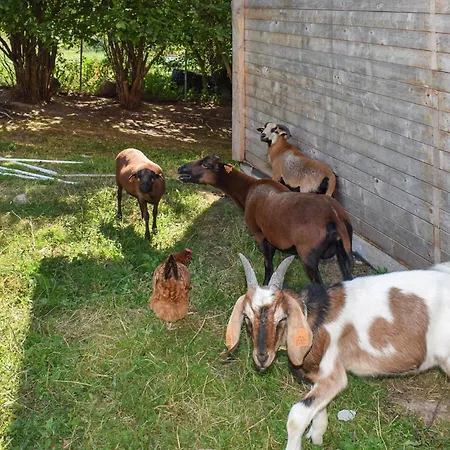 In With Sauna Nyaraló