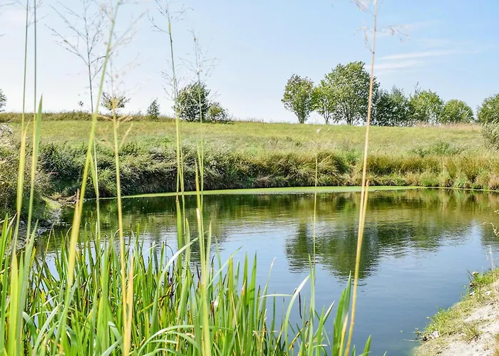 In With Sauna * Wejdyki