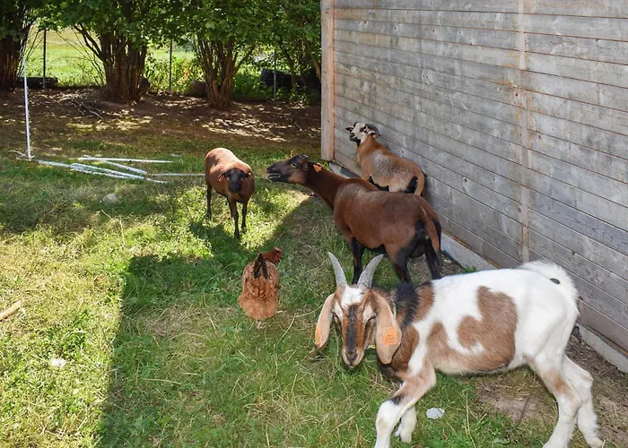 In With Sauna Holiday home